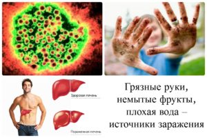 Источники передачи гепатита А