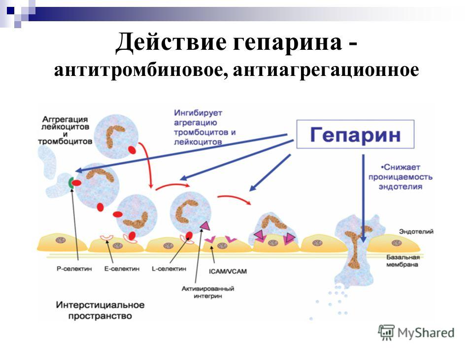 Антитромбиновое и антиагрегационное действие Гепарина