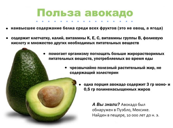 Польза авокадо