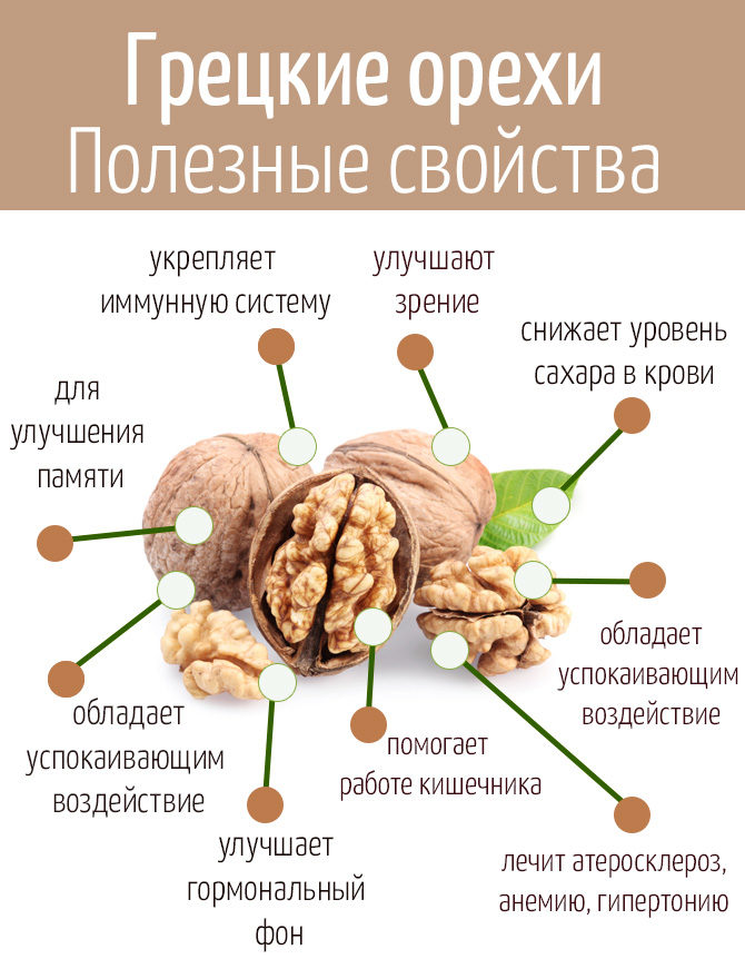 Полезные свойства грецких орехов