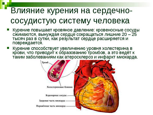 Влияние курения на сердечно-сосудистую систему