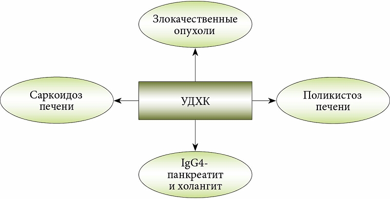 Новые направления применения УДХК