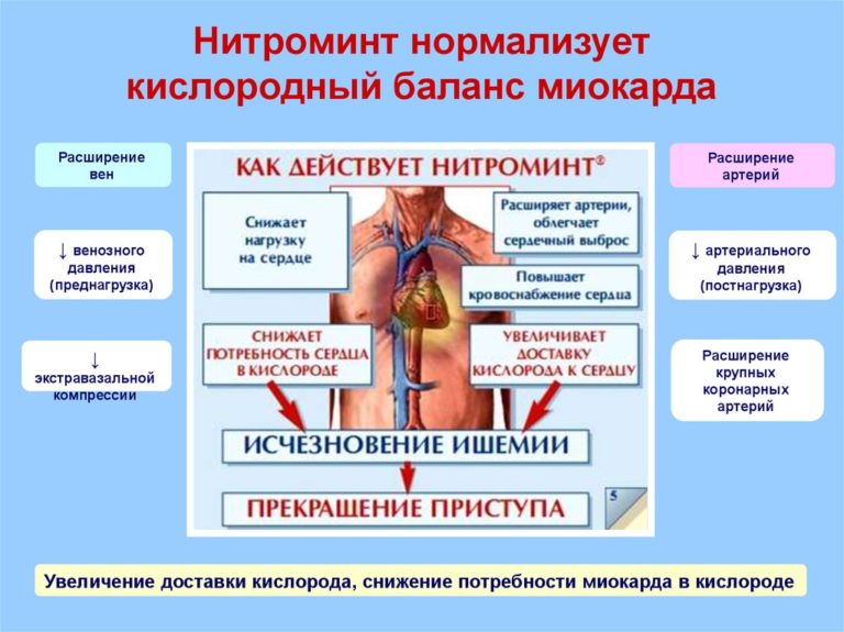 Повышенный сердечный выброс. Снижение потребности миокарда в кислороде. Купить Нитроминт в Казани.