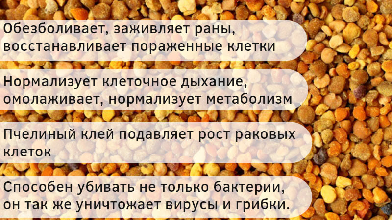 Прополис свойства. Чем полезен прополис. Для чего полезен прополис. Чем полезно прополис. Прополис полезные св-ва.