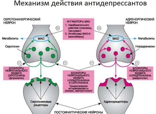 Отмена триттико схема