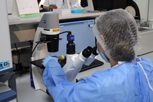 Специалист лаборатории исследует биоматериал 